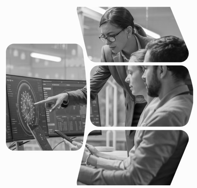 Equipe analisando informações em computadores